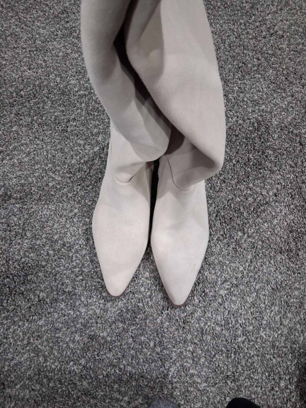 SARTO by Franco Sarto Genevieve Knee-High Boots – Beige Suede – Size 10 (BNWT) - Picture 7 of 7